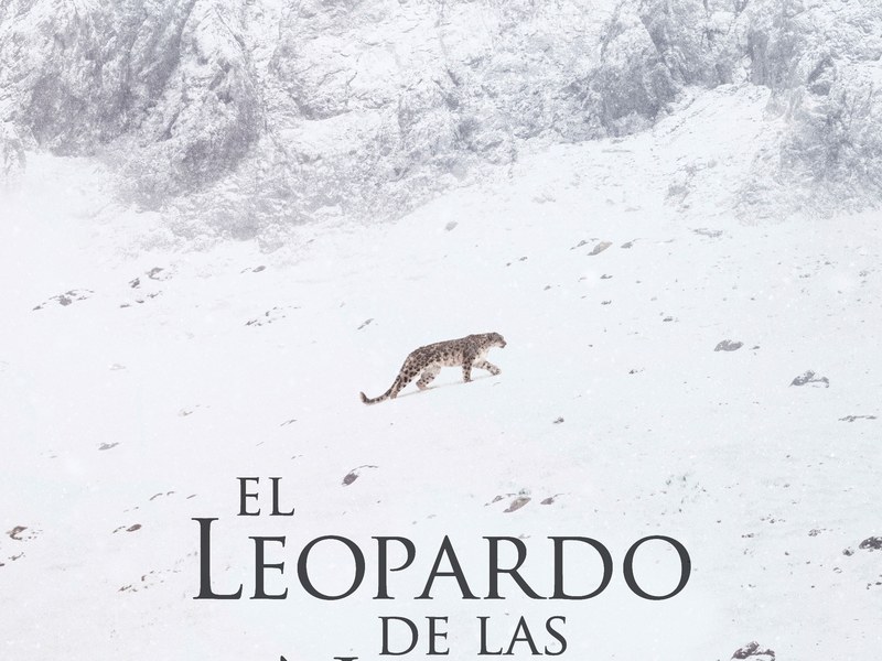 Gnat Zinema - El leopardo de las nieves leo