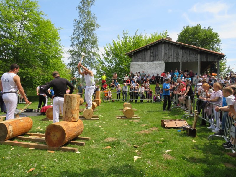 kurutz