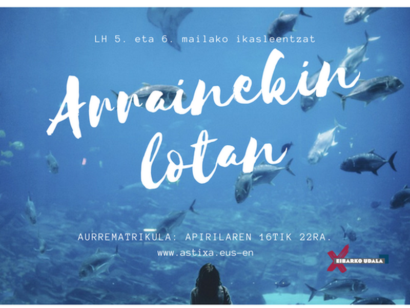 Arrainekin lotan