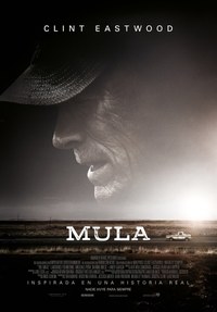 Mula