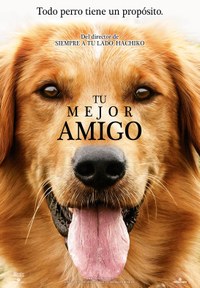 Tu mejor amigo