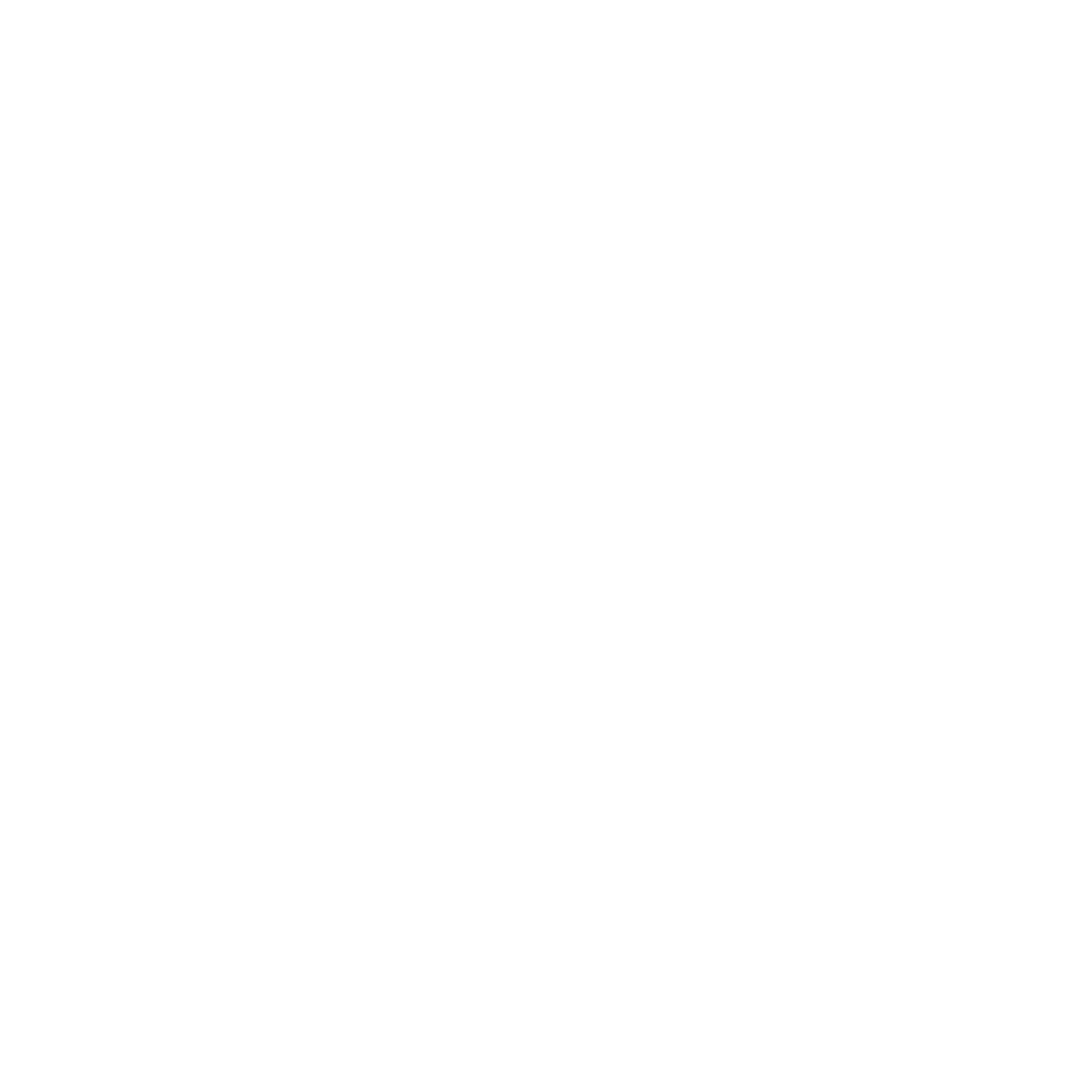 Informatika bertikala negatiboa