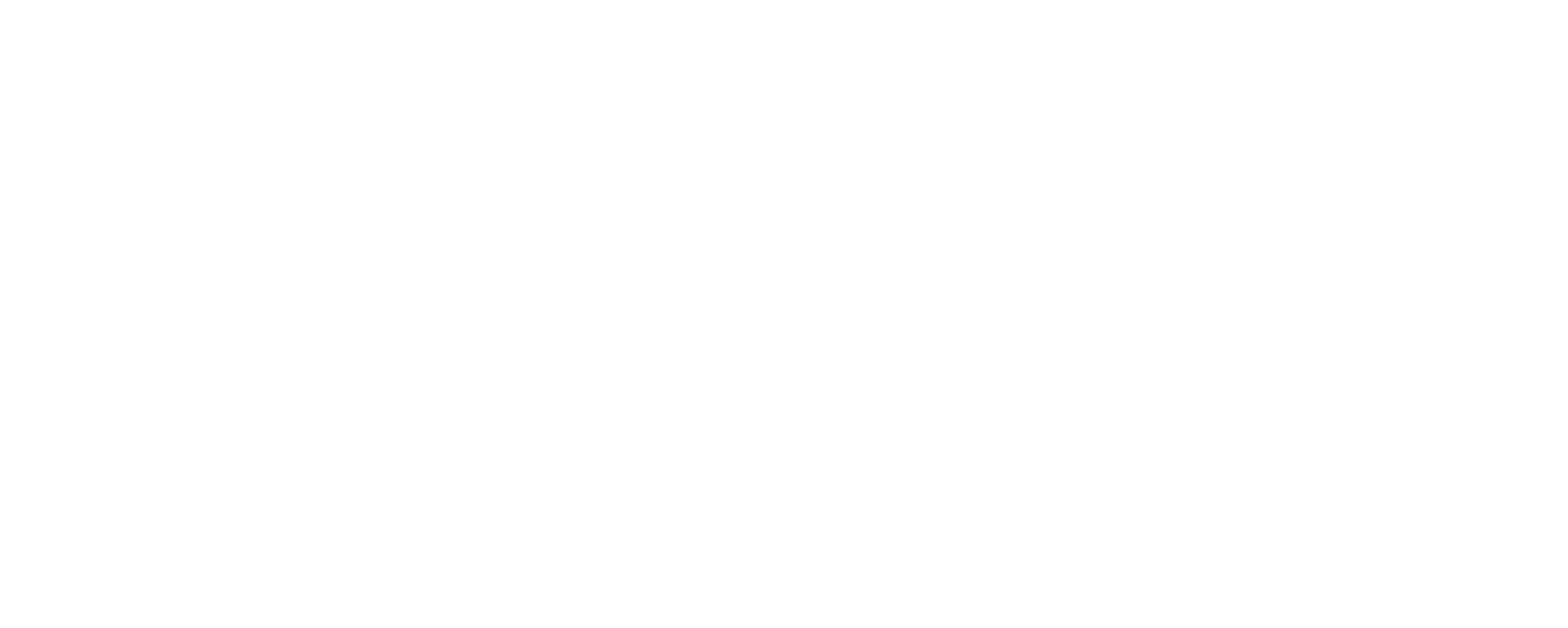 Informatika horizontala negatiboa
