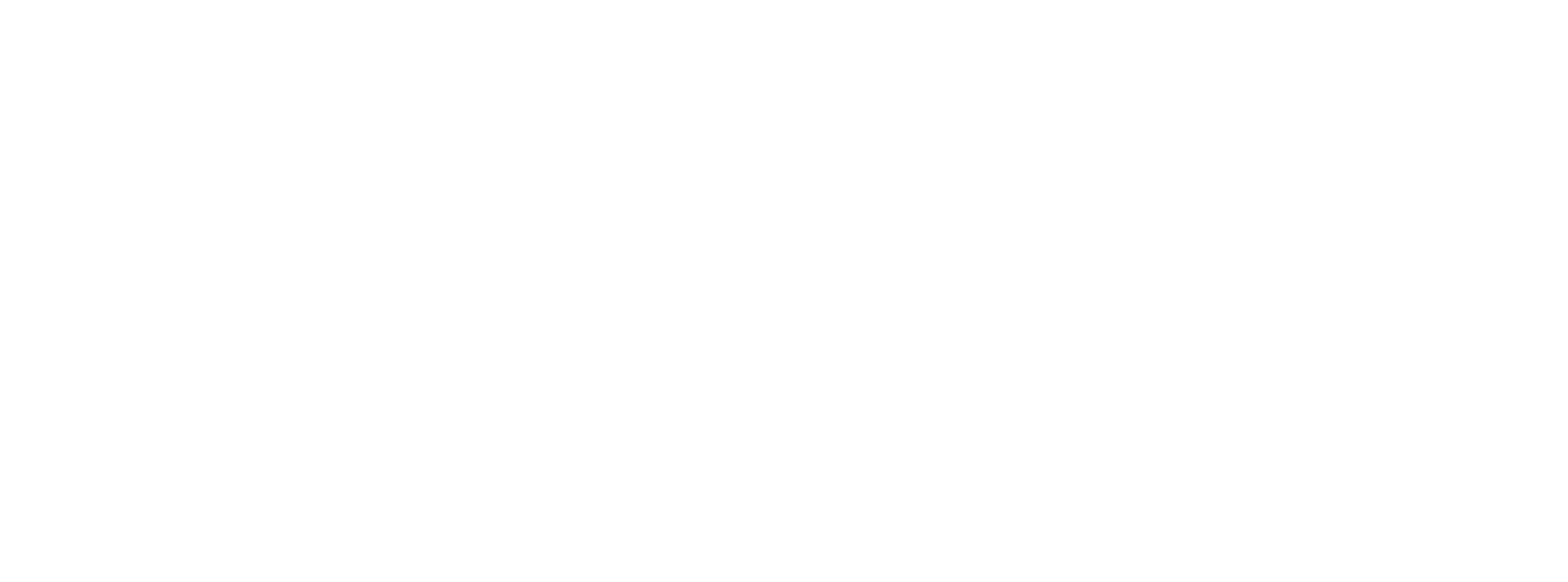 Kontsumitzaileen Informaziorako Udal Bulegoa (KIUB) horizontala negatiboa