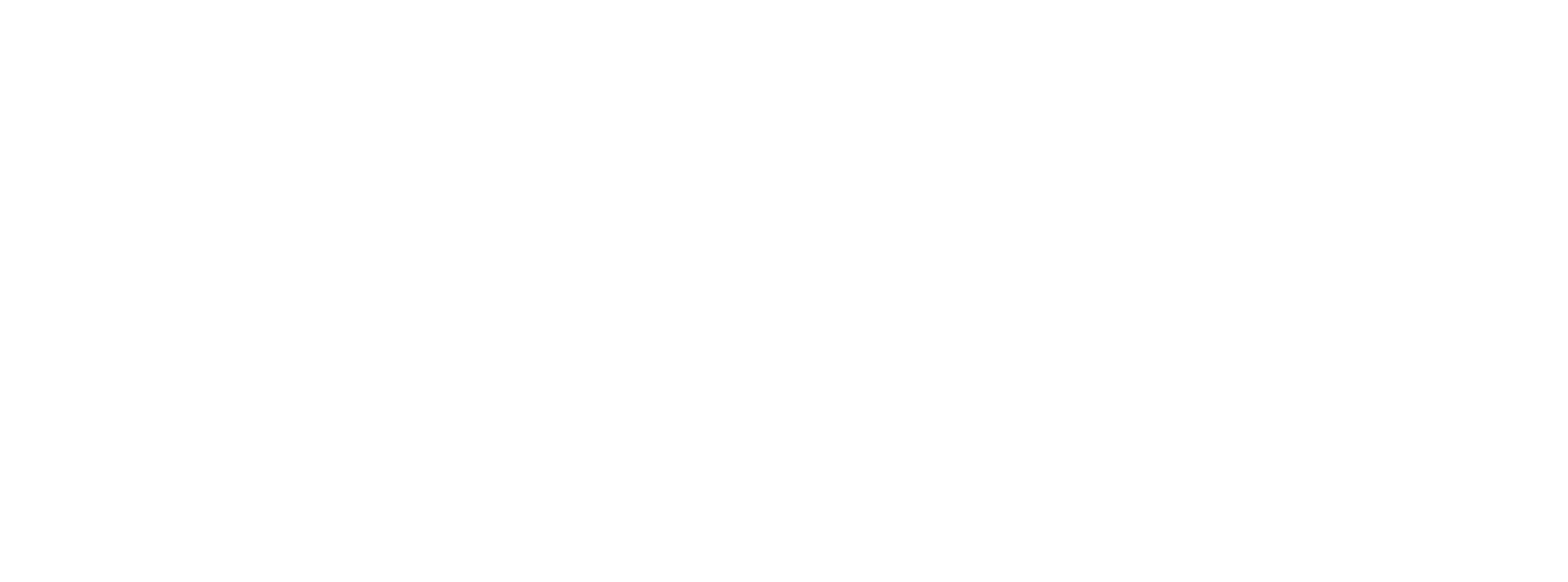 Juan San Martin Liburutegia horizontala negatiboa