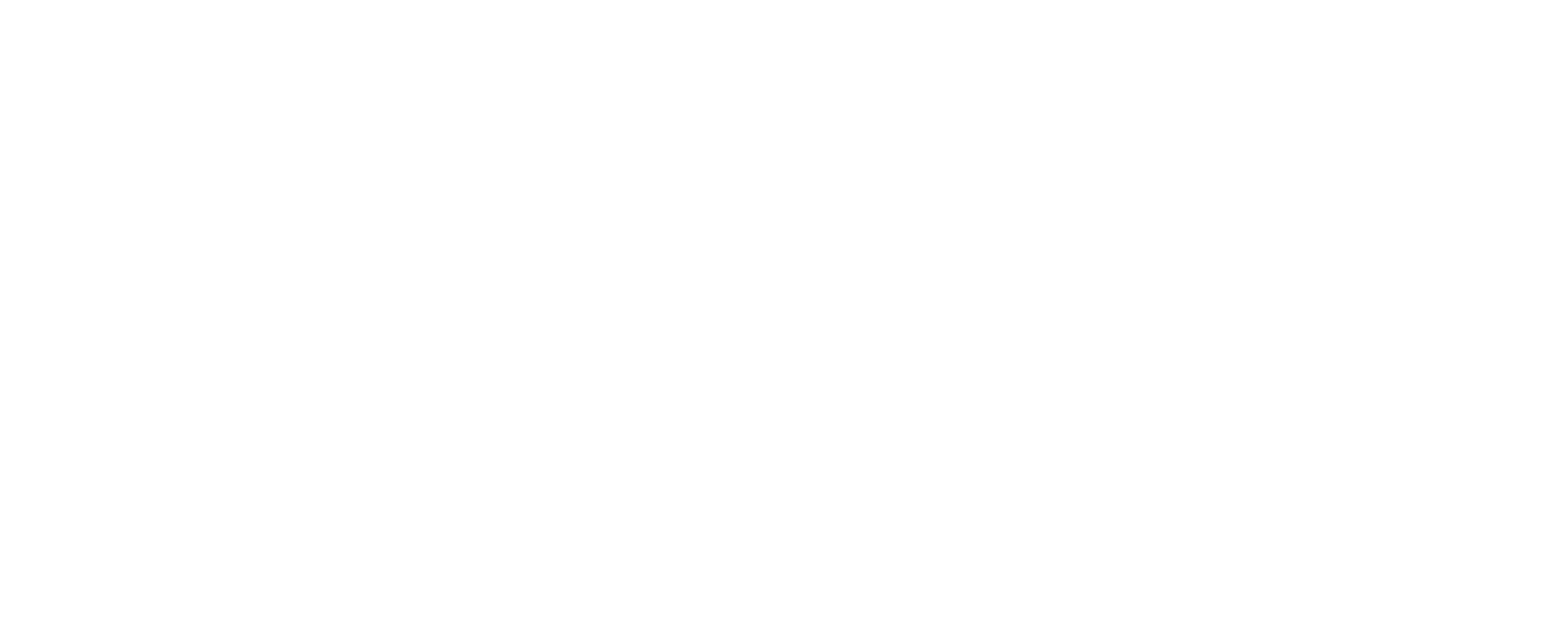 Udaltzaingoa horizontala negatiboa